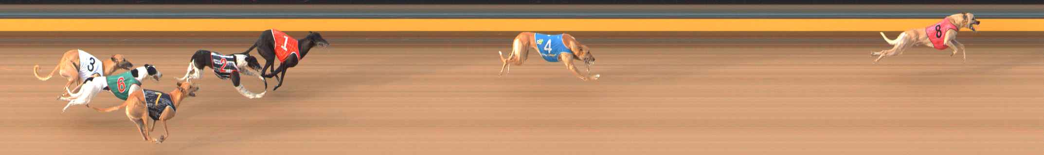 Photo finish for Bendigo Race 8
