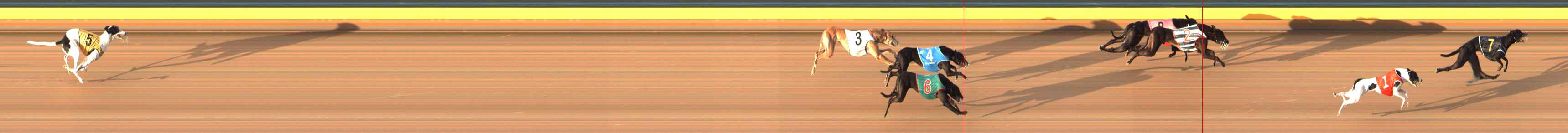 Photo finish for Bendigo Race 9