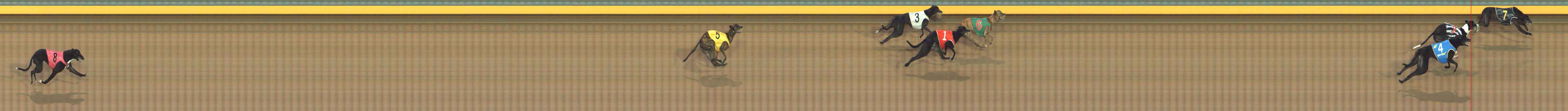 Photo finish for Bendigo Race 12
