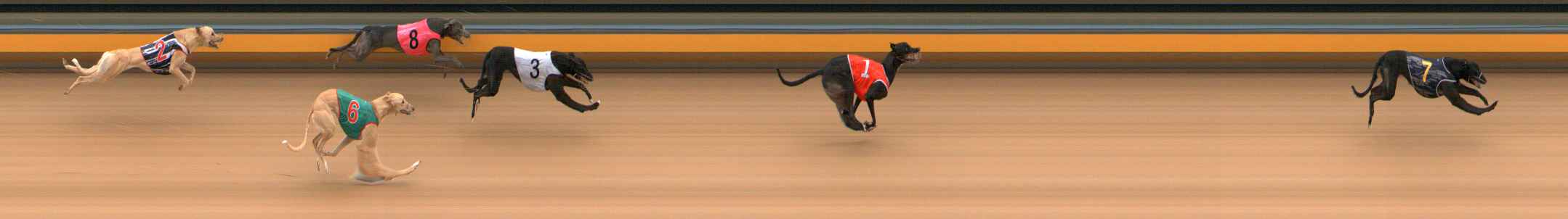 Photo finish for Bendigo Race 1