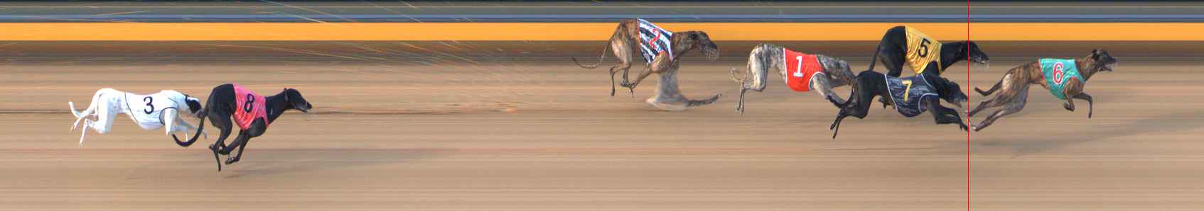 Photo finish for Bendigo Race 6