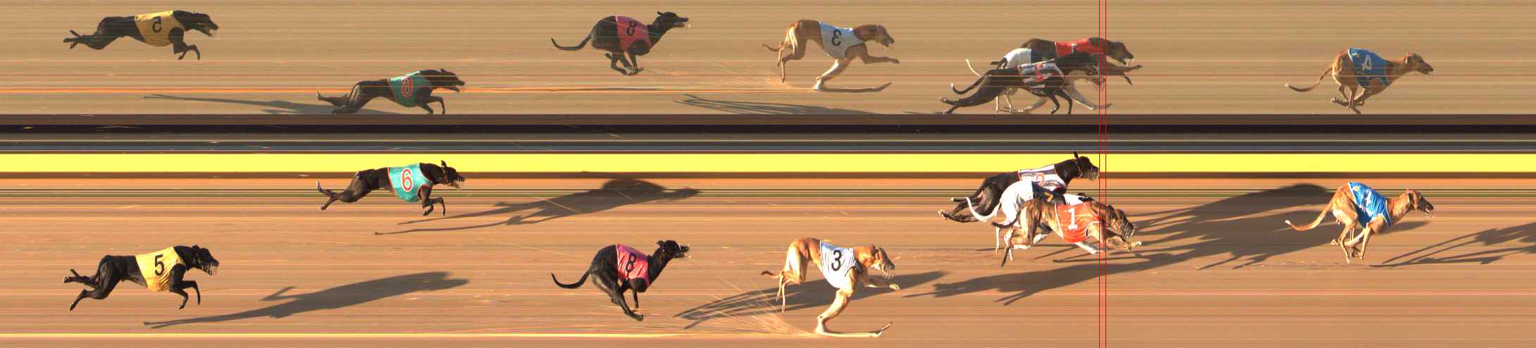 Photo finish for Bendigo Race 8