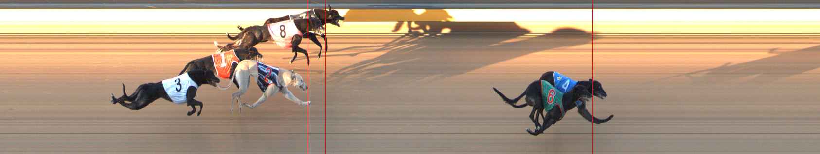 Photo finish for Bendigo Race 9