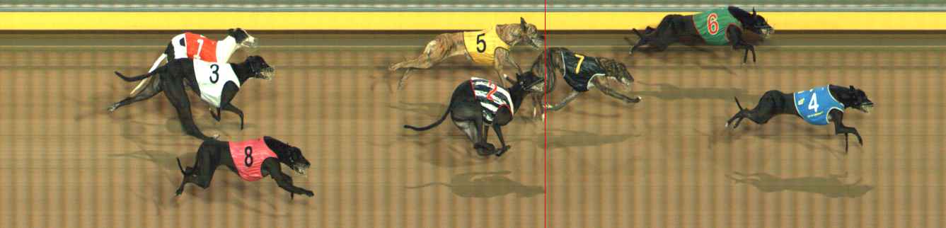 Photo finish for Bendigo Race 12