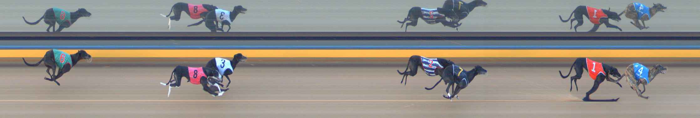 Photo finish for Bendigo Race 1