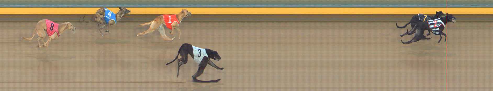 Photo finish for Bendigo Race 2