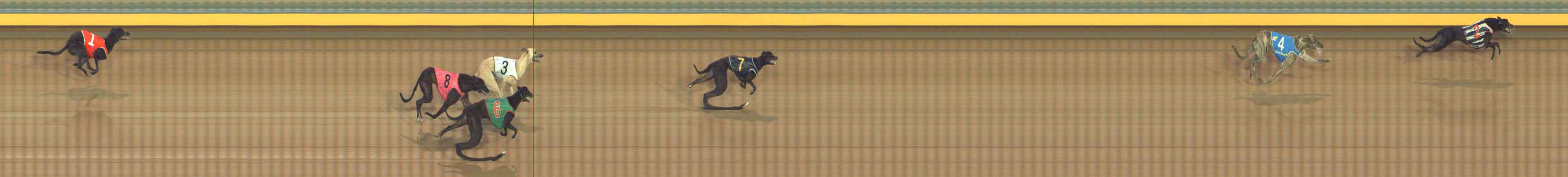 Photo finish for Bendigo Race 3