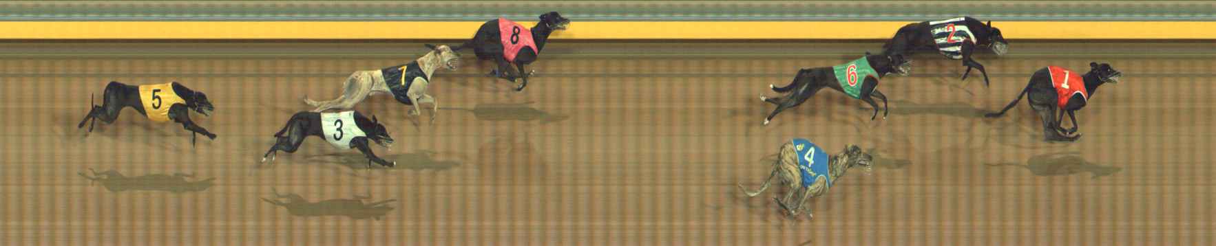 Photo finish for Bendigo Race 5