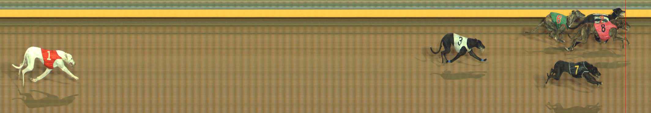 Photo finish for Bendigo Race 10