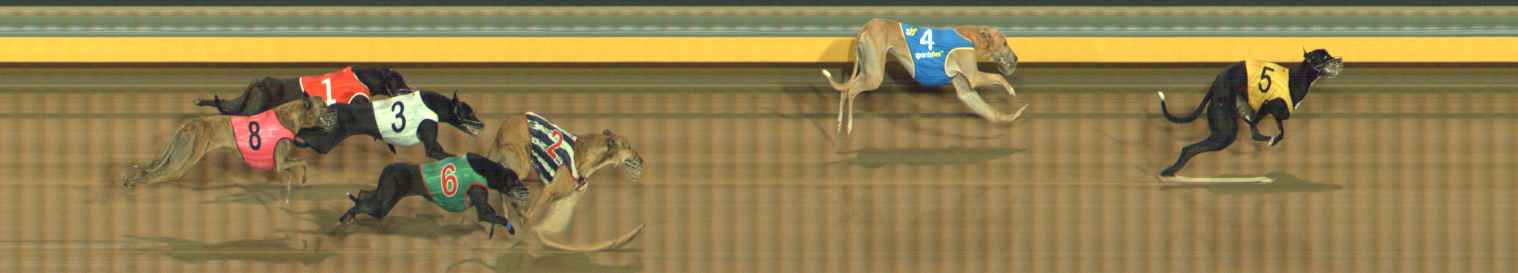 Photo finish for Bendigo Race 12