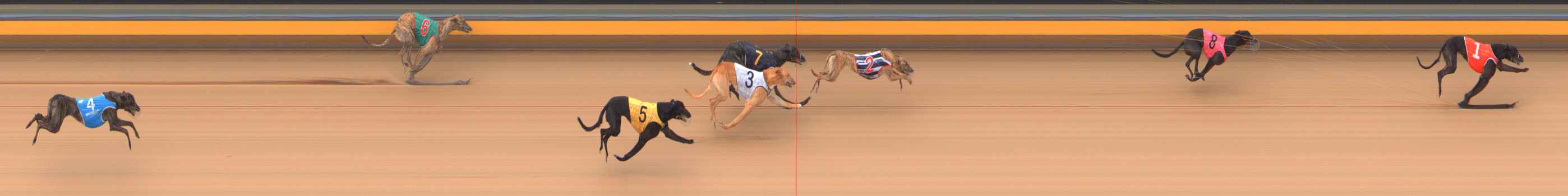Photo finish for Bendigo Race 1