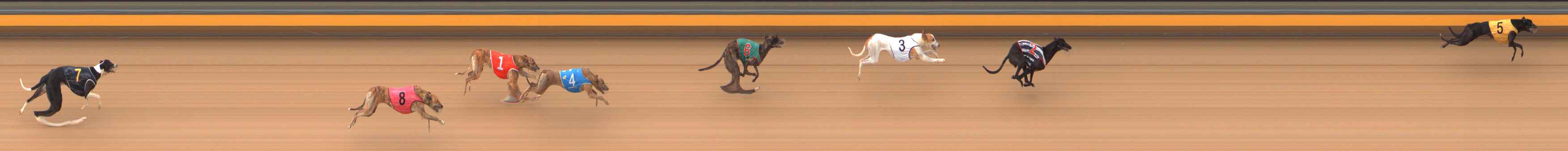Photo finish for Bendigo Race 2