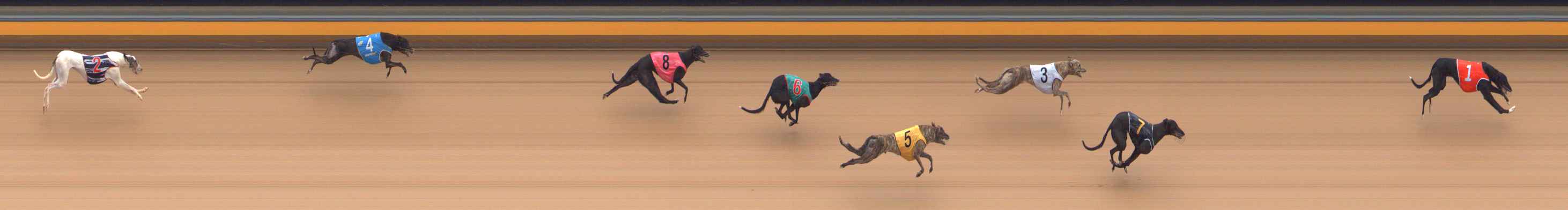 Photo finish for Bendigo Race 4