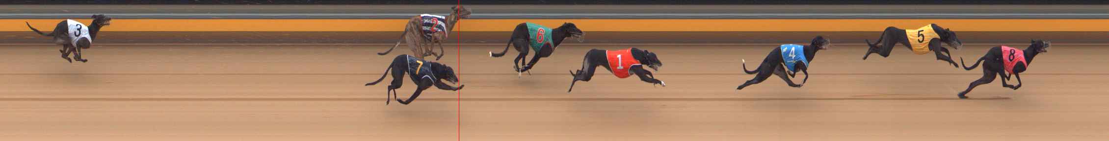 Photo finish for Bendigo Race 5