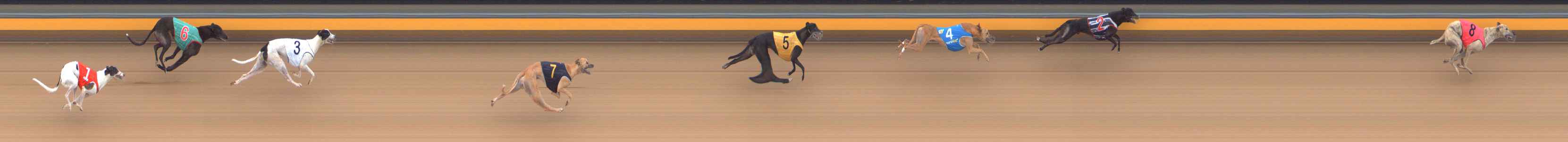 Photo finish for Bendigo Race 6