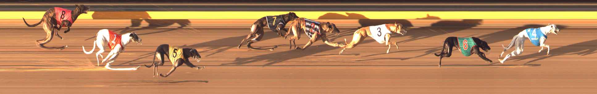 Photo finish for Bendigo Race 8