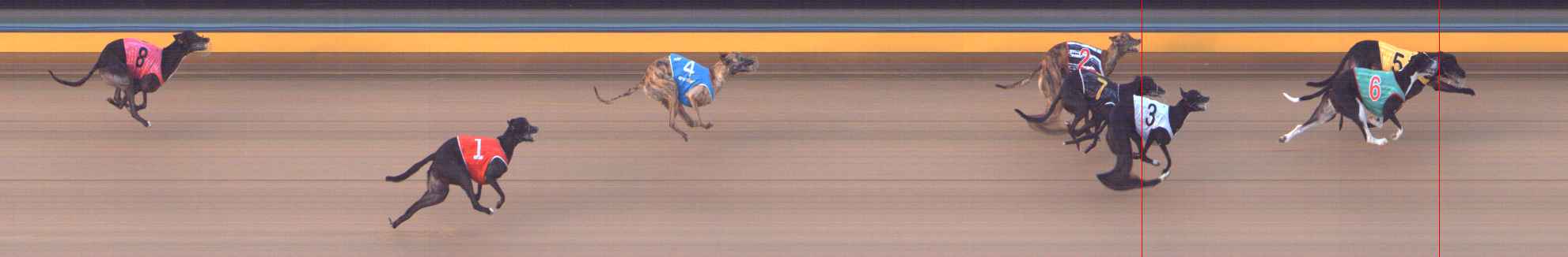 Photo finish for Bendigo Race 9