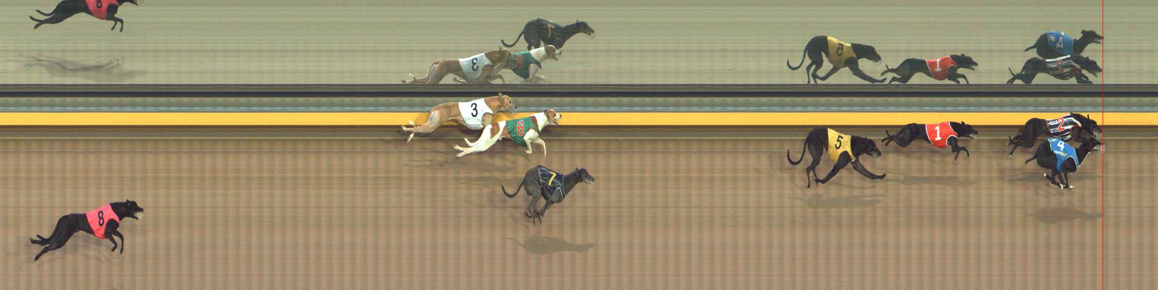 Photo finish for Bendigo Race 10
