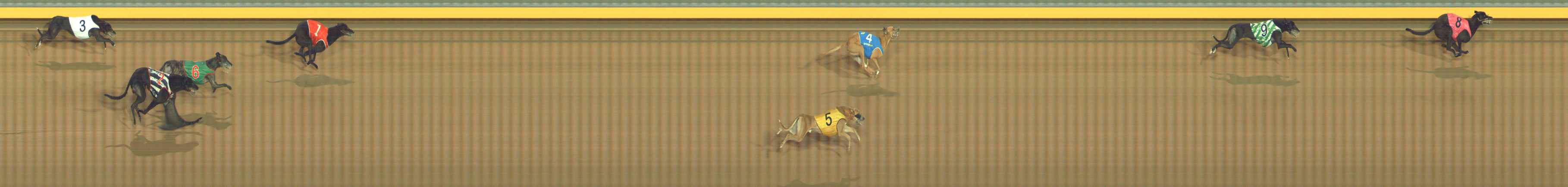 Photo finish for Bendigo Race 12