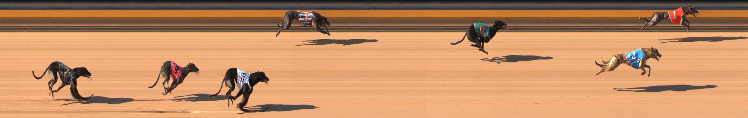 Photo finish for Bendigo Race 1