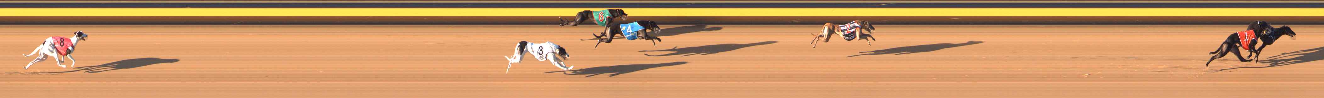 Photo finish for Bendigo Race 4