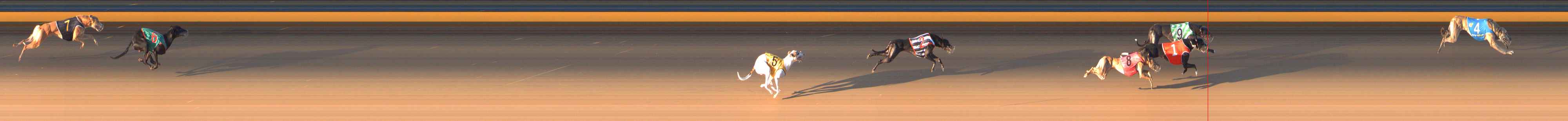 Photo finish for Bendigo Race 5
