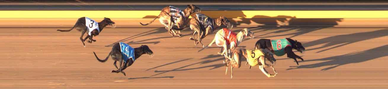 Photo finish for Bendigo Race 6