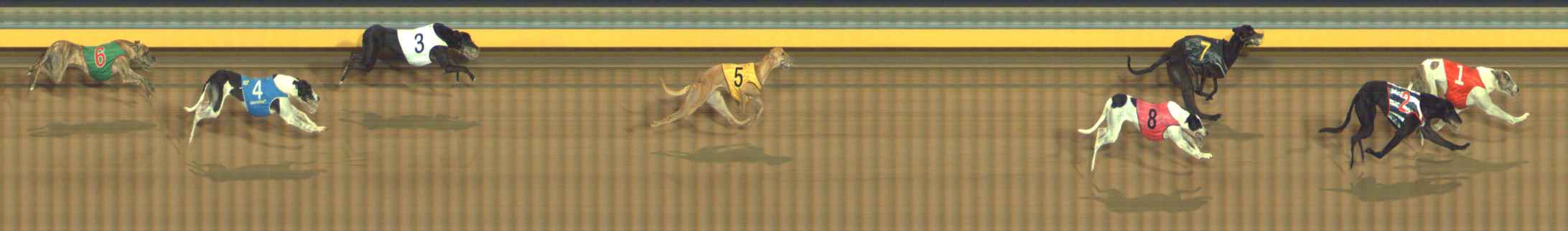 Photo finish for Bendigo Race 10