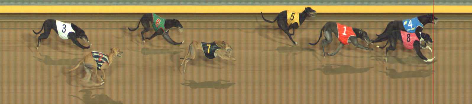 Photo finish for Bendigo Race 11