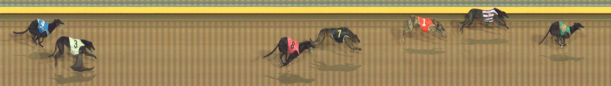 Photo finish for Bendigo Race 12