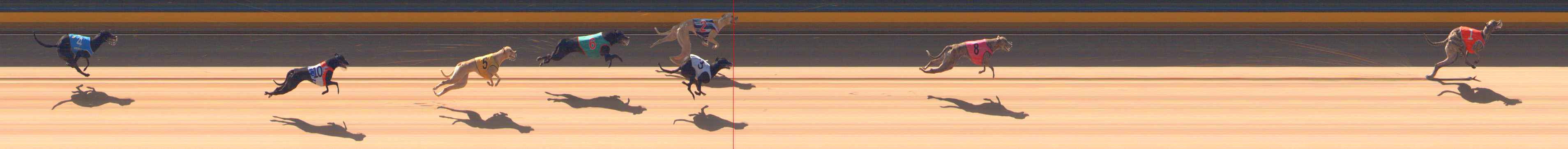 Photo finish for Bendigo Race 1