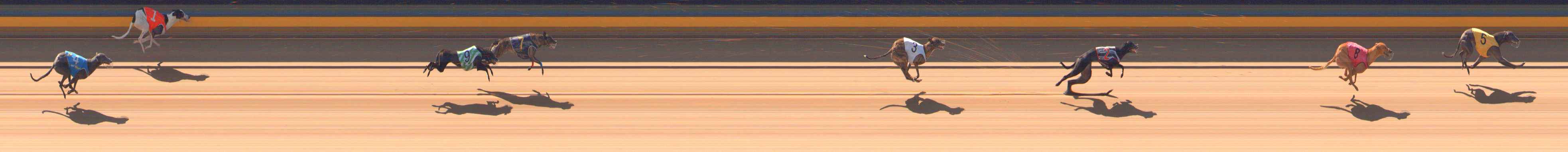 Photo finish for Bendigo Race 2