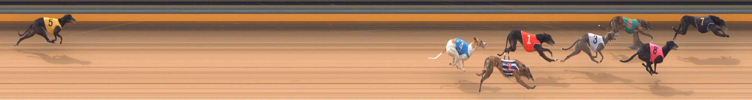 Photo finish for Bendigo Race 3