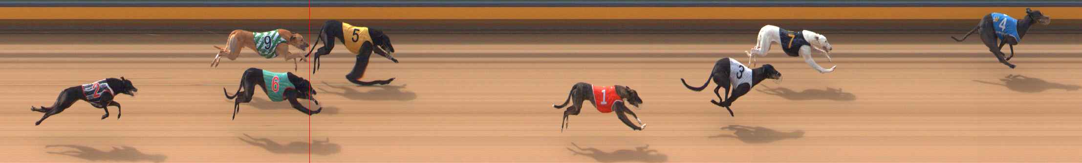 Photo finish for Bendigo Race 5