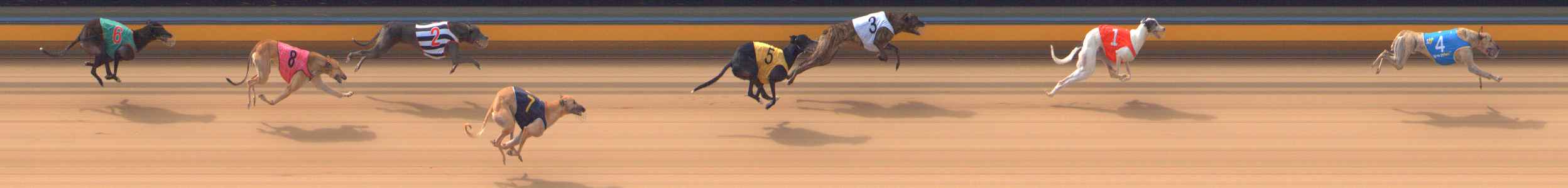 Photo finish for Bendigo Race 6