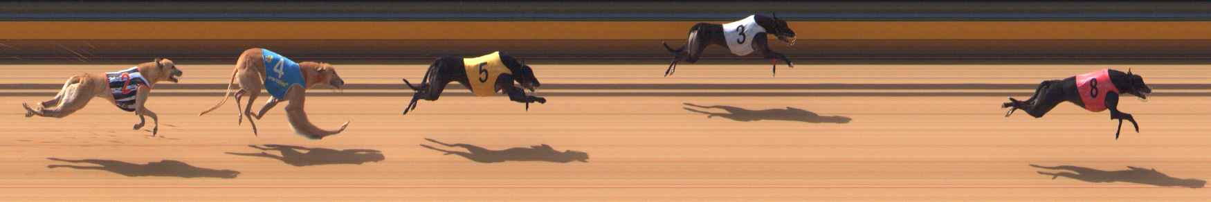 Photo finish for Bendigo Race 7