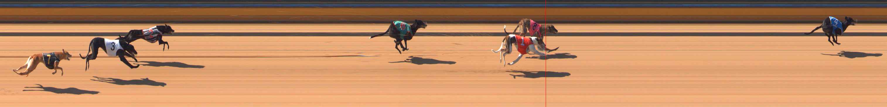 Photo finish for Bendigo Race 9