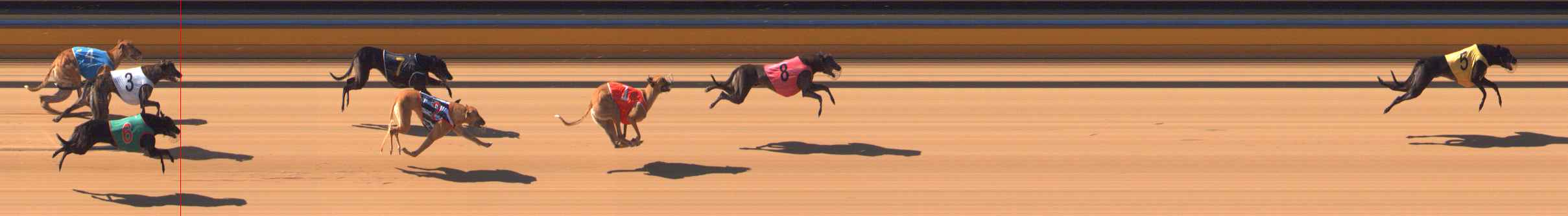 Photo finish for Bendigo Race 10