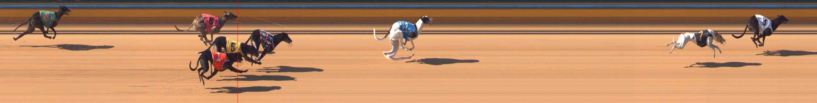 Photo finish for Bendigo Race 12