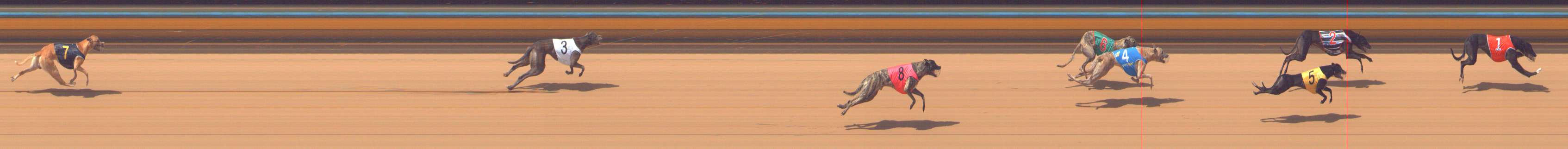 Photo finish for Bendigo Race 3