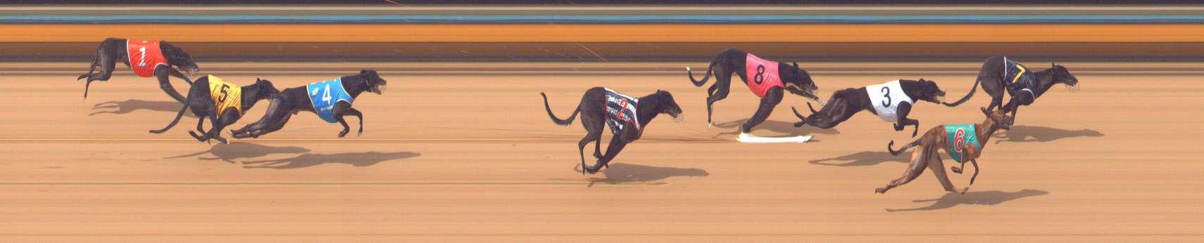 Photo finish for Bendigo Race 5