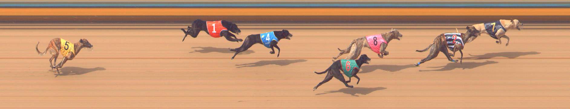 Photo finish for Bendigo Race 6