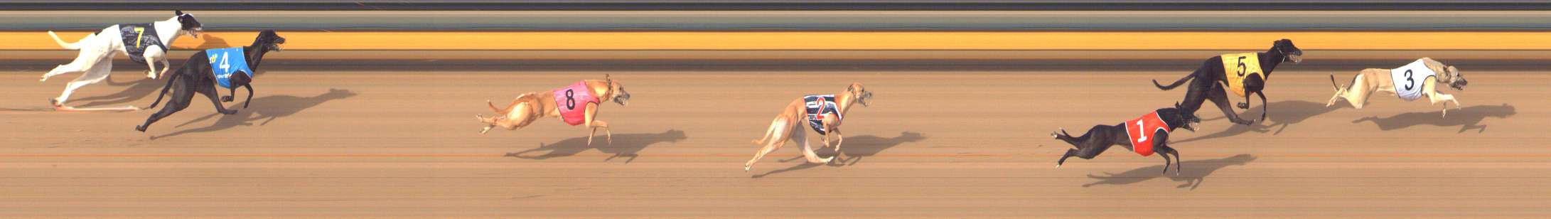 Photo finish for Bendigo Race 10