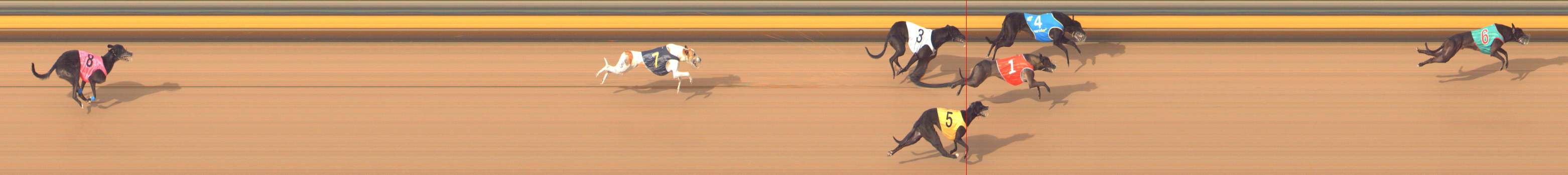 Photo finish for Bendigo Race 11