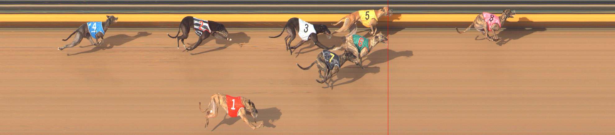 Photo finish for Bendigo Race 12