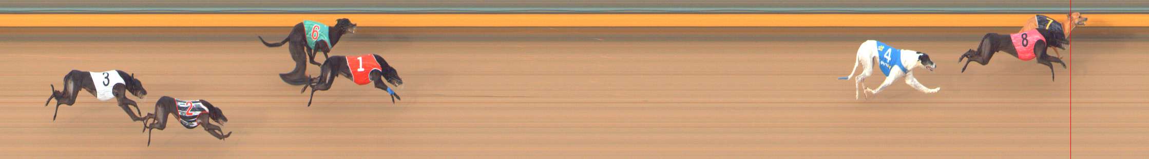Photo finish for Bendigo Race 13