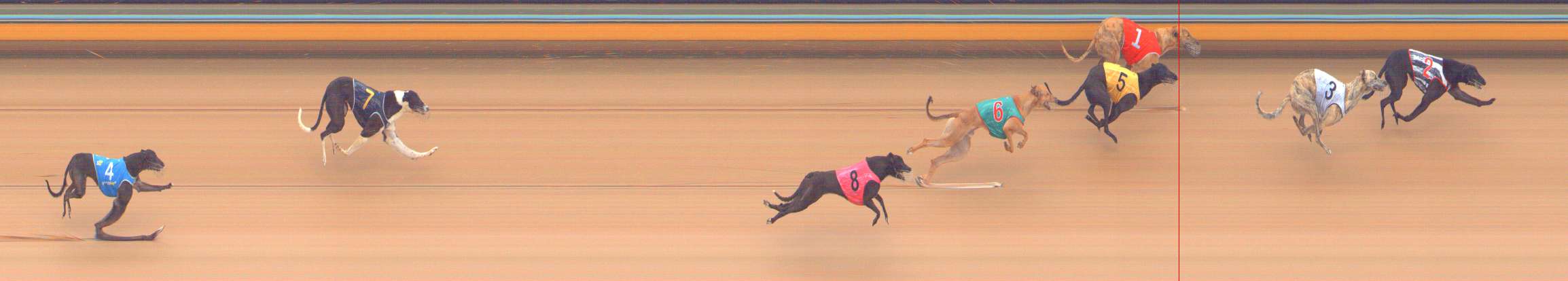 Photo finish for Bendigo Race 2