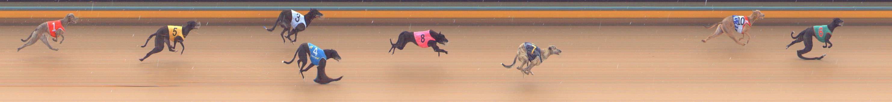 Photo finish for Bendigo Race 3