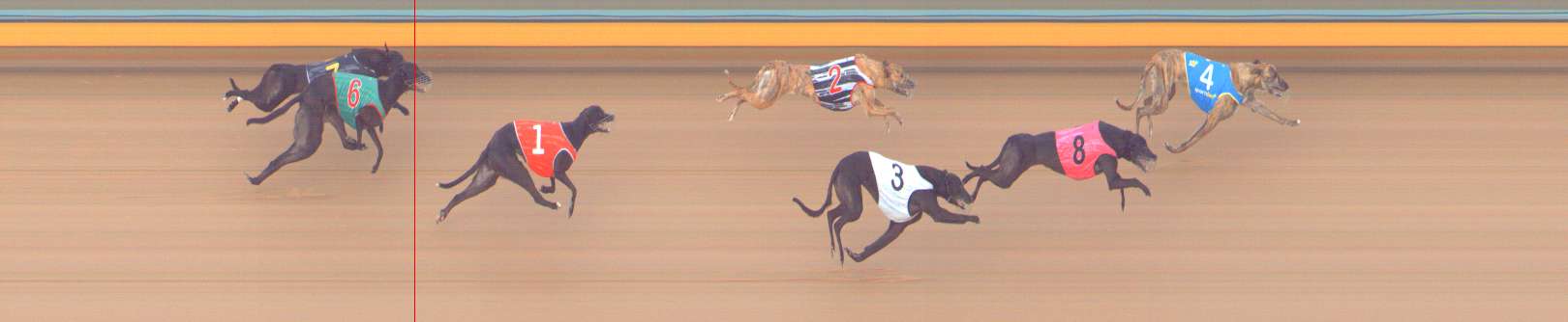Photo finish for Bendigo Race 2