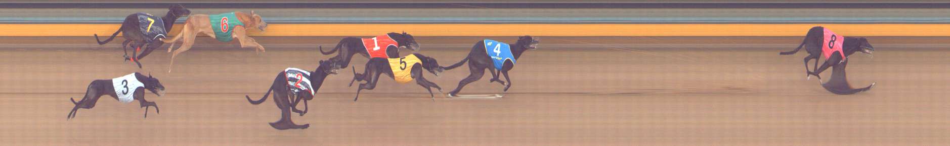 Photo finish for Bendigo Race 4